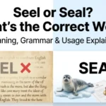Seel or Seal