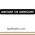 Amount or Ammount