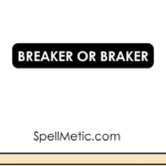 breaker or braker