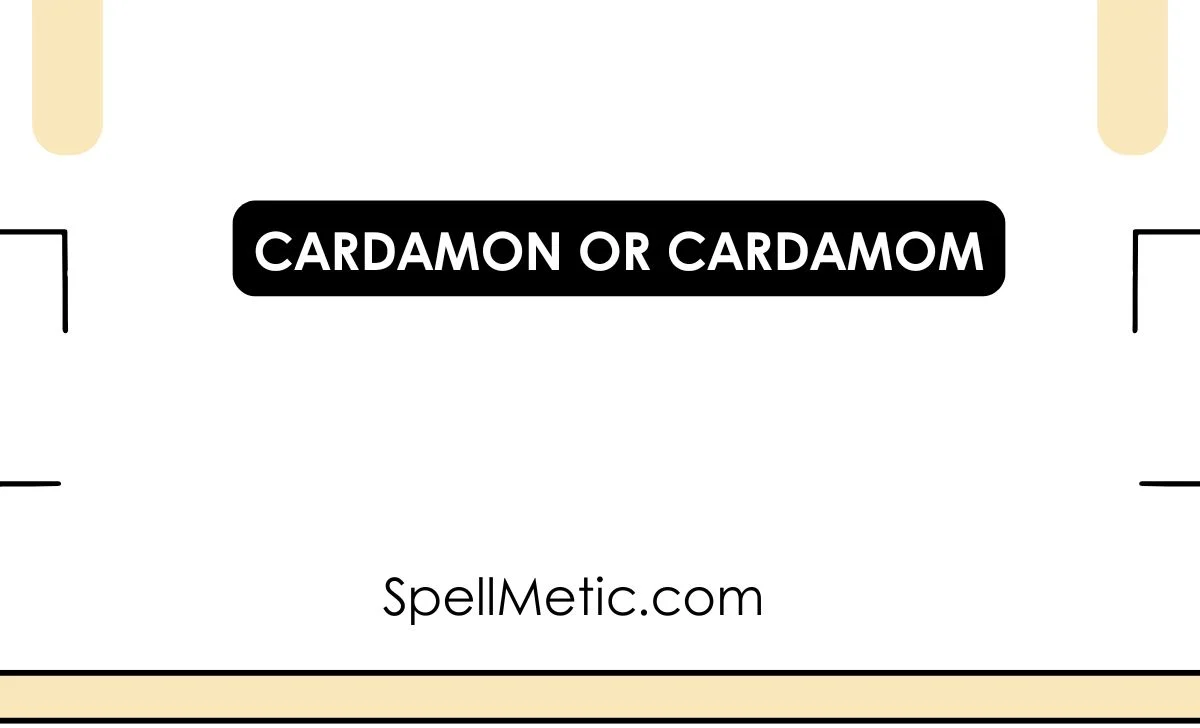 cardamon or cardamom