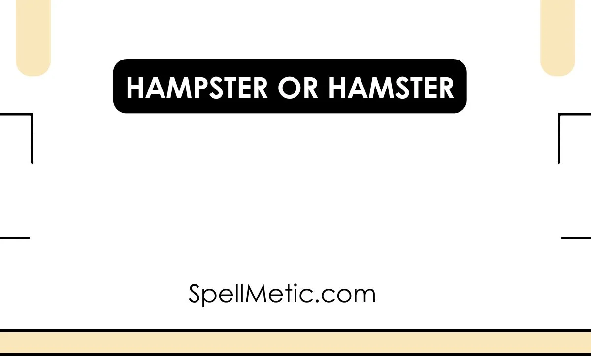 hampster or hamster