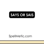 says or sais