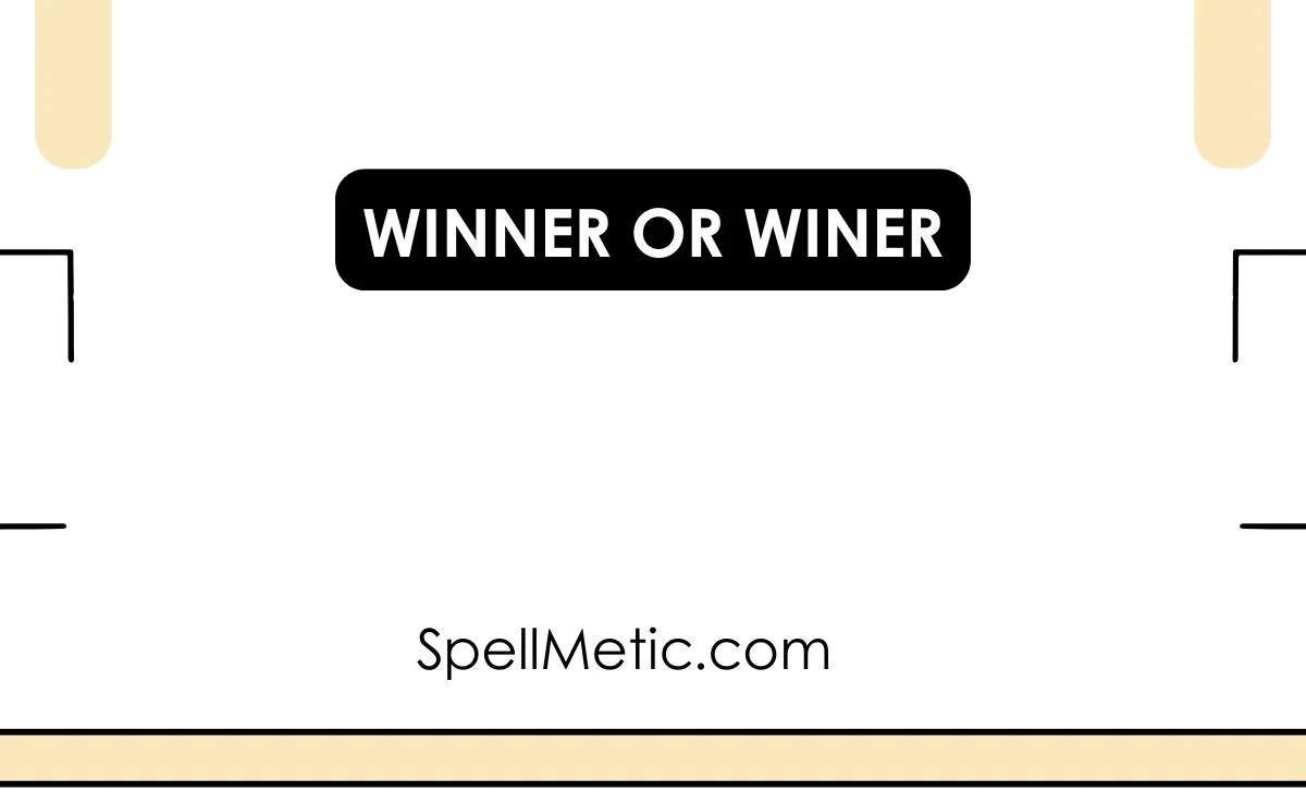 winner or winer