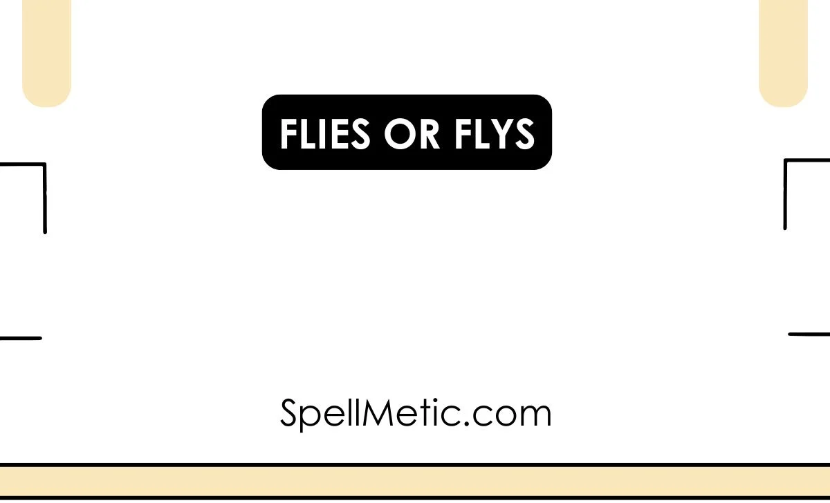 flies or flys